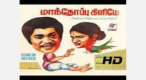 ’விசிறி காமெடி, பால் காமெடி, விறாட்டி காமெடி, ஊறுகாய் காமெடி...’ ‘கஞ்சப் பிரபு’ சுருளிராஜன் - காந்திமதி ஜோடியின் சூப்பர் காமெடி; - ‘மாந்தோப்புக் கிளியே’ வெளியாகி 41 ஆண்டுகளானாலும் மறக்கவே முடியாத காமெடி!