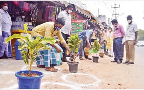 திருநெல்வேலியில் கடைகளின் முன் வைக்கப்பட்டுள்ள அழகிய செடிகள்.படம்: மு.லெட்சுமி அருண்