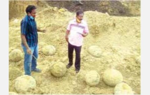 பெரம்பலூர் மாவட்டம் குன்னம் கிராமத்தில் ஓடையில் கண்டறியப்பட்டவை டைனோசர் முட்டைகள் அல்ல: புவியியல் ஆய்வாளர் விளக்கம்