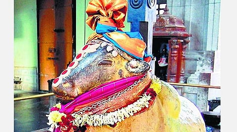 நவம்பர் மாத பலன்கள் ; சிம்ம ராசி அன்பர்களே! காரியத்தடை அகலும்; திடீர் கவலை; பண வரவு; எதிலும் கவனம் தேவை!
