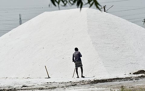 வடகிழக்கு பருவமழை தொடங்கியதையடுத்து தூத்துக்குடி அருகே உப்பளத்தில் குவித்து வைக்கப்பட்டுள்ள உப்பை மூடி பாதுகாப்பதற்கான ஆயத்தப் பணியில் ஈடுபட்ட தொழிலாளி. படம்: என்.ராஜேஷ்