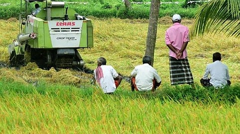 குறைந்தபட்ச ஆதரவு விலை; அக்டோபர் 30 வரை 23% அதிக நெல் கொள்முதல்