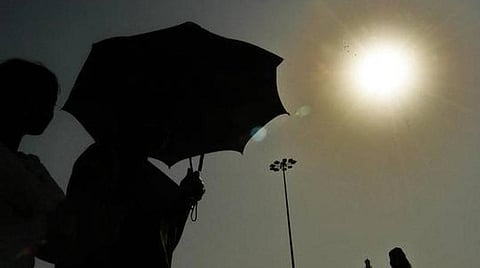 நெல்லை, தென்காசி, தூத்துக்குடியில் எதிர்பார்த்த மழையின்றி விவசாயிகள் தவிப்பு: பருவமழைக் காலத்திலும் சுட்டெரிக்கும் வெயில்