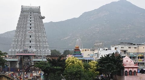 திருவண்ணாமலை அண்ணாமலையார் கோயில்.
