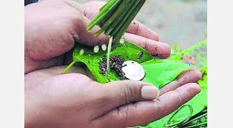 தீபாவளி... அமாவாசை... தர்ப்பணம்! முன்னுக்கு வரச்செய்யும் முன்னோர் வழிபாடு!