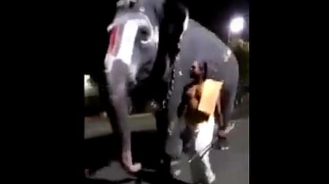 பாகனுடன் பேசும் யானை; ஸ்ரீரங்கம் கோயிலில் அதிசயம்: வைரலாகும் வீடியோ
