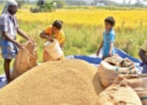 தமிழகம் உள்ளிட்ட மாநிலங்களில் 268.73 லட்சம் மெட்ரிக் டன் நெல் கொள்முதல்