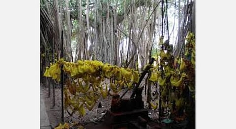குருப்பெயர்ச்சியில்... பட்டமங்கலம் குருவே சரணம்!