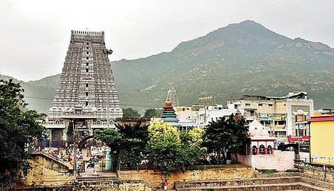 திருவண்ணாமலை அண்ணாமலையார் கோயில். (கோப்புப்படம்).