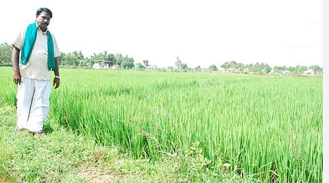 ஆறுபாதி ப.கல்யாணம்