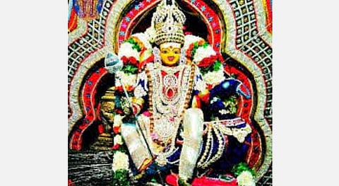 அழகன் முருகனை வியந்து பார்க்கும் மயில்!