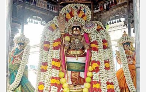 நாகை மாவட்டம் சிக்கல் சிங்காரவேலவர் கோயிலில் நேற்று நடைபெற்ற தேரோட்டத்துக்காக வள்ளி, தெய்வானை சமேதரராக எழுந்தருளிய சிங்காரவேலவர்.