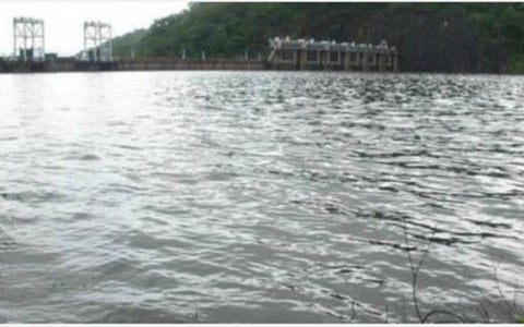 நெல்லையில் மழை நீடிப்பு: பாபநாசம் அணை மூடல்