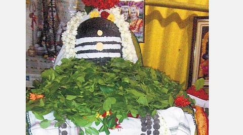 திருக்கார்த்திகை தீபம்; தயிர்சாதம் அன்னதானம்; இல்லத்தைக் குளிர்விப்பார்கள் அம்மையும் அப்பனும்!
