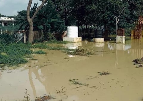 தேவகோட்டை அருகே மழைநீர் சூழ்ந்த தச்சவயல் கிராமம்.