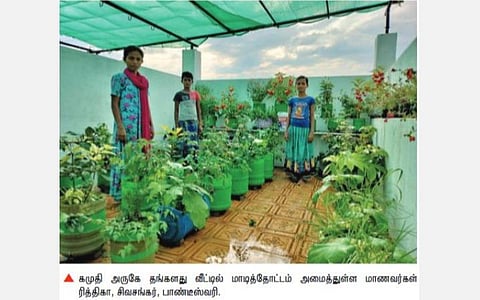 கரோனா ஊரடங்கை பயனுள்ளதாக்கிய மாணவர்கள் மாடித்தோட்டத்தில் காய்கறி உற்பத்தி