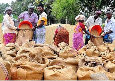 நவம்பர் வரை 318 லட்சம் மெட்ரிக் டன் நெல் கொள்முதல்