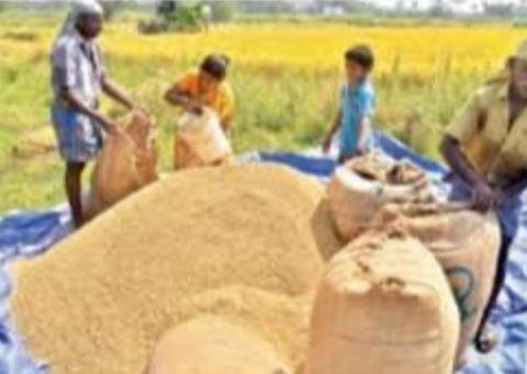 காரீப் பருவ நெல் கொள்முதல்: 30.84 கோடி விவசாயிகளுக்கு ரூ.61306.82 கோடி வழங்கல்