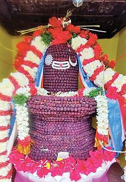 அத்தி விருட்ச சகஸ்ர ருத்ராட்ச லிங்கம் கோயில் குடமுழுக்கு விழா