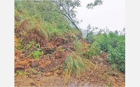 கொடைக்கானல் - பழநி சாலையில் ஏற்பட்ட மண் சரிவு.