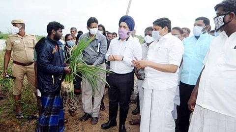 குறிஞ்சிப்பாடி ஒன்றியத்துக்கு உட்பட்ட குண்டியமல்லூர் கனமழையால் ஏற்பட்ட பயிர் சேதத்தை தொழில்துறை அமைச்சர் சம்பத் பார்வையிட்டார். அருகில் மாவட்ட கண்காணிப்பு அதிகாரி ககன்தீப்சிங்பேடி.