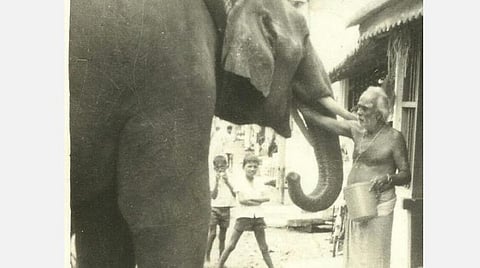 மத யானை... கல்பாத்தி சாமி அண்ணா... ஐயப்ப அதிசயம்!