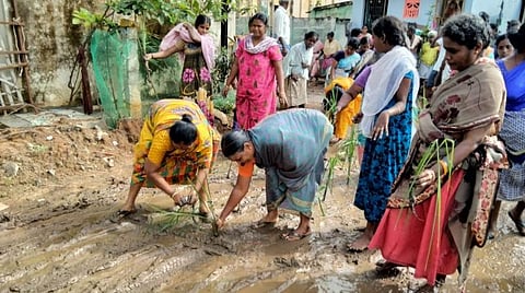 நாற்று நடும் போராட்டத்தில் ஈடுபட்ட பெண்கள்.
