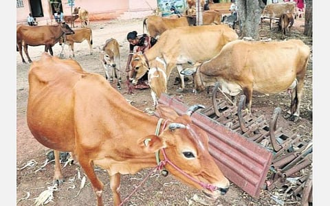 கோப்புப்படம்