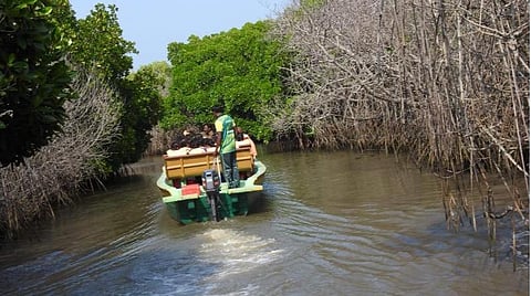 கோப்புப்படம்