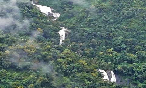 கொடைக்கானல்-பழநி மலைச்சாலையில் கோம்பைக்காடு அருகே தொடர் மழையால் உருவான புதிய நீர்வீழ்ச்சி.