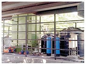 சென்னை மாநகரை பசுமையாக்கும் வகையில் மேம்பால தூண்களில் ‘வெர்ட்டிக்கல் கார்டன்’