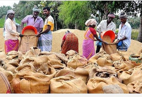 புதுக்கோட்டை மாவட்டத்தில் 3 கிராமங்களில் நெல் கொள்முதல் நிலையம்: 2 வாரங்களில் திறக்க உயர் நீதிமன்றம் உத்தரவு