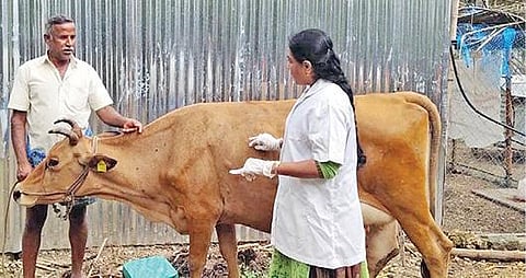 கோப்புப் படம்