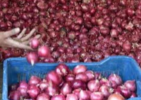 வெங்காய இறக்குமதி கட்டுப்பாடுகள் தளர்வு: விலையைக் கட்டுப்படுத்த நடவடிக்கை