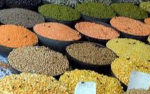 குறைந்தபட்ச ஆதரவு விலை; தமிழகம் உள்ளிட்ட மாநிலங்களில் 51.00 லட்சம் மெட்ரிக் டன் பருப்பு, எண்ணெய் வித்துக்கள் கொள்முதல்