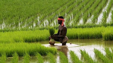 பிரதமர் கிசான் திட்டம்; அடுத்த தவணையை பிரதமர் மோடி நாளை வெளியிடுகிறார்