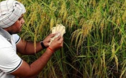 பிரதிநிதித்துவப் படம்
