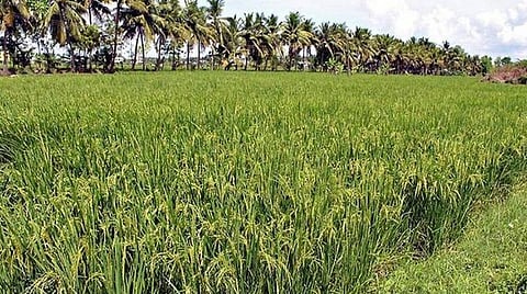 கோப்புப் படம்