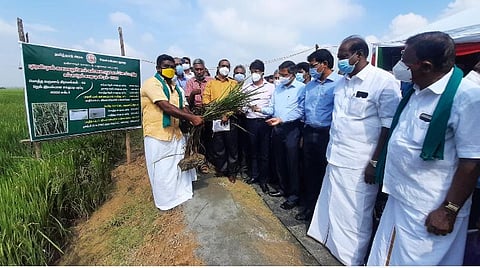 மத்திய குழுவினரிடம் பாதிப்புகளை எடுத்துரைத்த விவசாயிகள்.