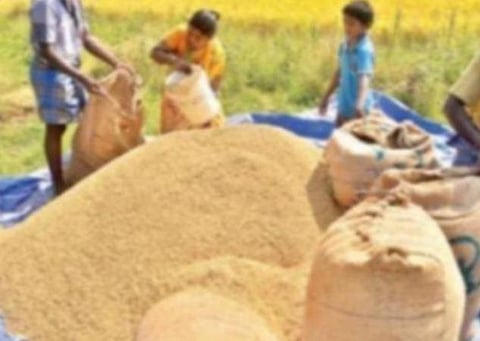 விவசாயிகளிடமிருந்து நெல் கொள்முதல்: இந்திய உணவுக் கழகம் ஒப்பந்தம்