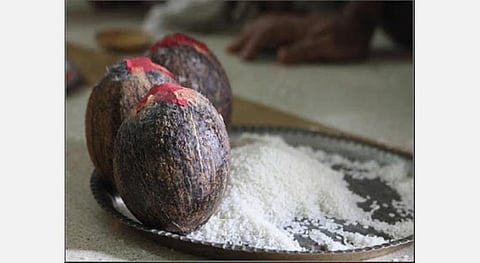 அகந்தை, ஆணவம்; நெய் தேங்காய் தத்துவம்! -ஐயப்ப பாடகர் வீரமணி ராஜூ விளக்கம்