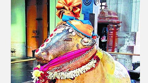 மார்கழி... ஞாயிறு... ராகுகாலம்... பிரதோஷம்!