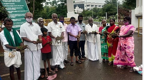 மழையால் பாதிக்கப்பட்ட நெற்பயிர்களுக்கு இழப்பீடு: விவசாயிகள் வலியுறுத்தல்