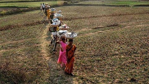 கரோனாவுக்குப் பிறகு கூலி விவசாயமும் பெண்களும்!