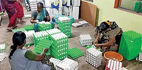 நாமக்கல்லில் உள்ள கோழிப்பண்ணையில் உற்பத்தி செய்யப்படும் முட்டைகள் விற்பனைக்கு அனுப்புவதற்காக சுத்தம் செய்யும் பணியில் தொழிலாளர்கள் ஈடுபட்டுள்ளனர்.