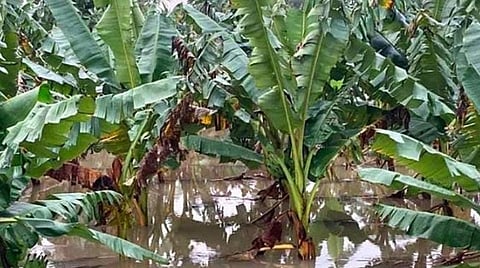 மேற்குதொடர்ச்சி மலைப்பகுதியில் நீடிக்கும் மழையால் வெள்ளக்காடாக காட்சியளிக்கும் தாமிரபரணி கரையோரப் பகுதி குடியிருப்புகள், விளைநிலங்கள், அணைக்கட்டுகள், ஆற்றங்கரைகள், அருவிகளுக்கு செல்ல தடை நீடிப்பு