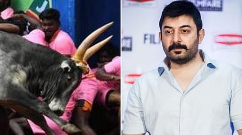 ஜல்லிக்கட்டில் உயிர் பலியைத் தடுக்க பாதுகாப்பு அம்சங்கள்: அரவிந்த் சாமி யோசனை