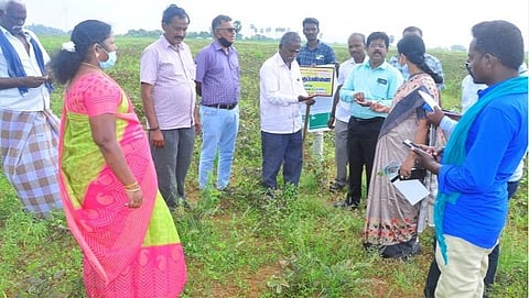 தென்காசி மாவட்டம் மேலநீலிதநல்லுர் வட்டாரத்தில் மழையால் ஏற்பட்ட பயிர்ச் சேதம்: வேளாண் அதிகாரிகள் குழு ஆய்வு