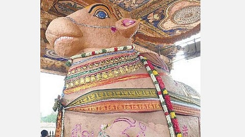 தை பிரதோஷம்.. நந்திதேவருக்கு அருகம்புல் மாலை