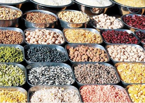 3,04,625.51 மெட்ரிக் டன் பாசிப் பயறு, உளுந்து, துவரை, நிலக்கடலை, சோயாபீன்ஸ் கொள்முதல்